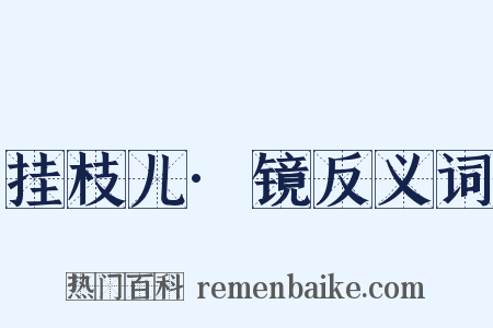 挂枝儿·镜反义词是什么意思的图片